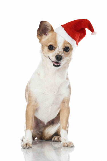 Santa Hat 26 cm (10